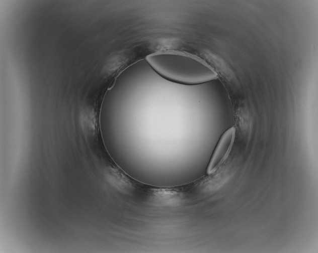 X0000112790380200908211118