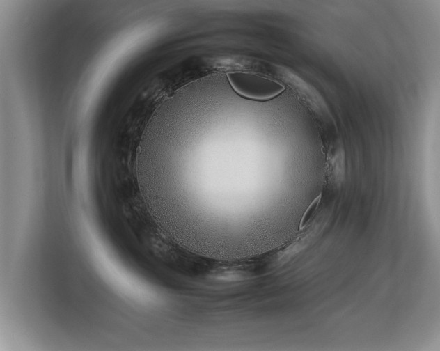 X0000112790381200908211118