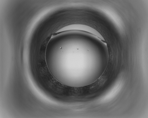 X0000112790383200908211118