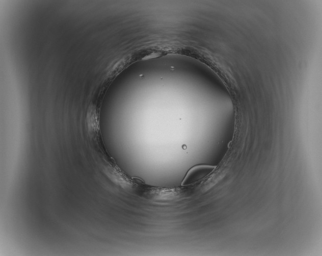 X0000112790384200908211118