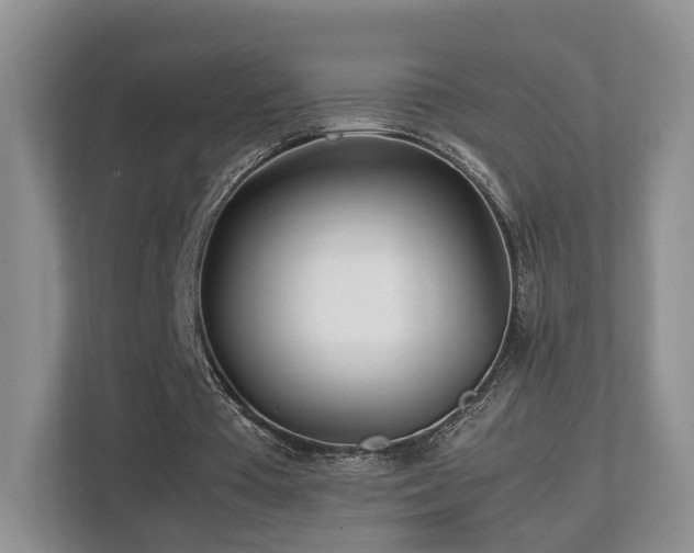 X0000112790385200908211118