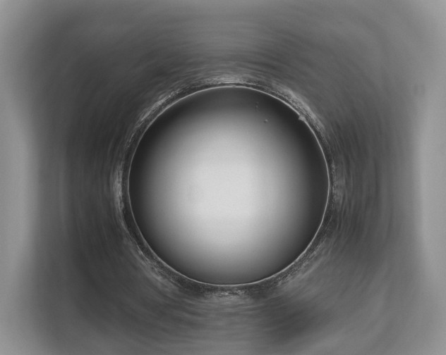 X0000112790386200908211118