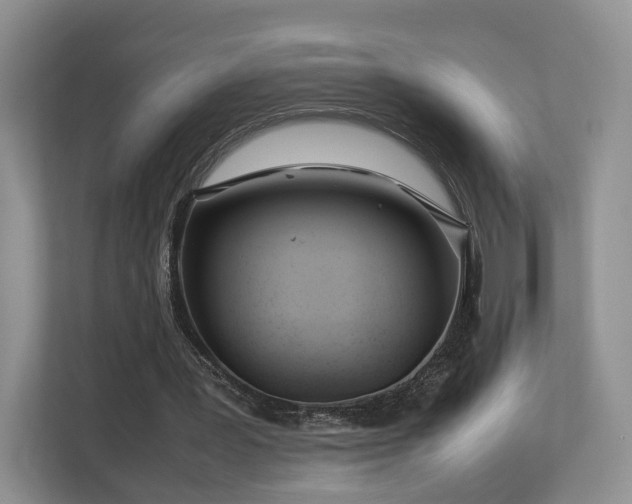 X0000112790387200908211118