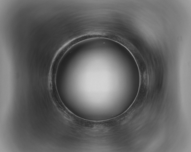 X0000112790388200908211118