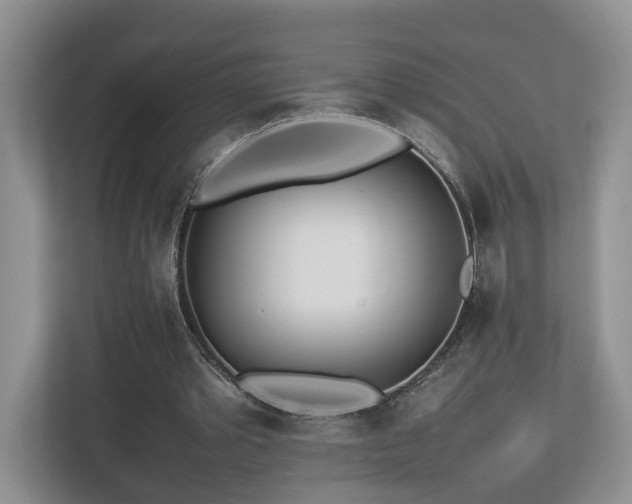 X0000112790389200908211118