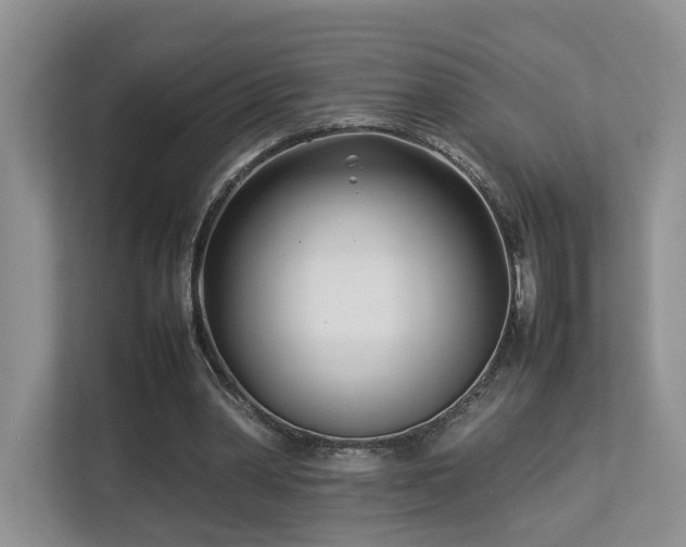 X0000112790390200908211118