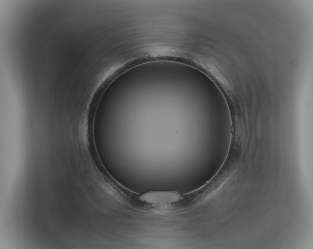 X0000112790391200908211118