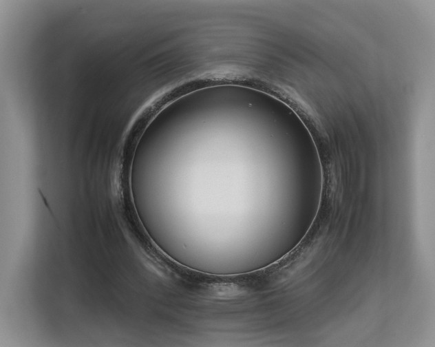 X0000112790392200908211117