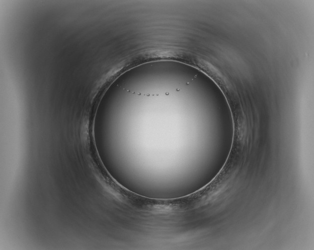 X0000112790394200908211117