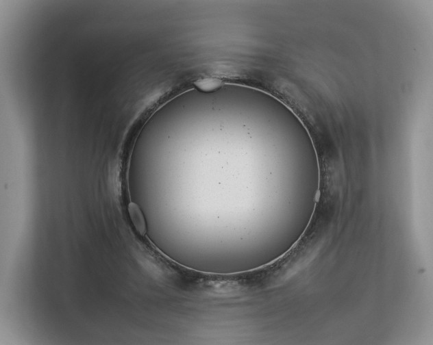 X0000112790395200908211117