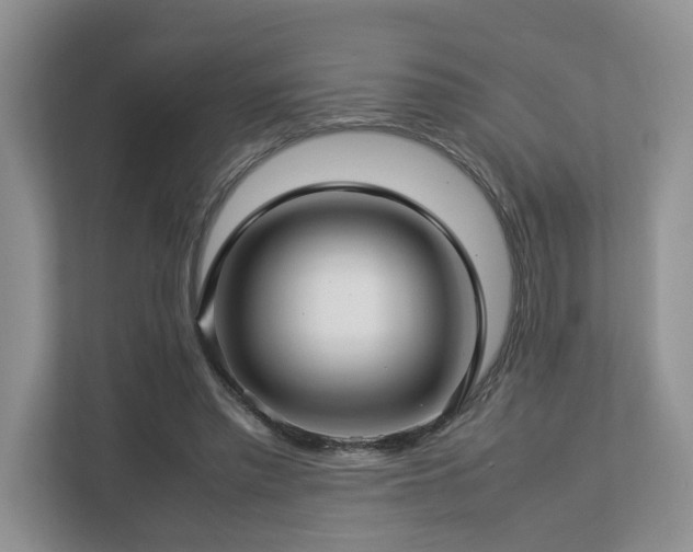 X0000112790397200908211117