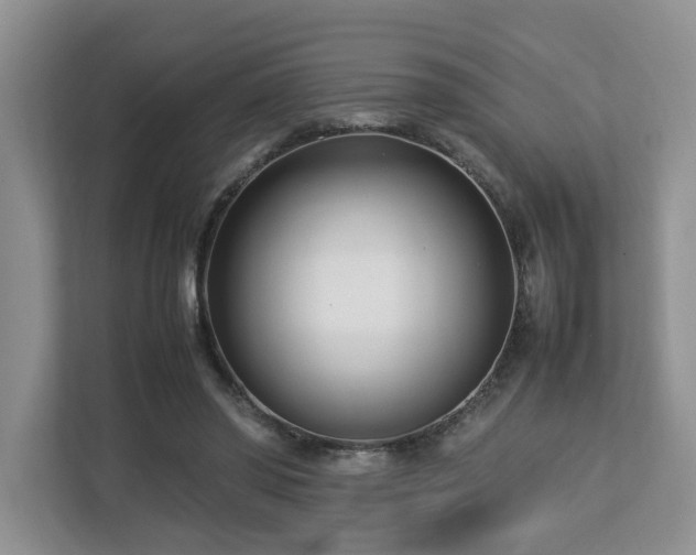 X0000112790398200908211117