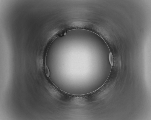 X0000112790399200908211117