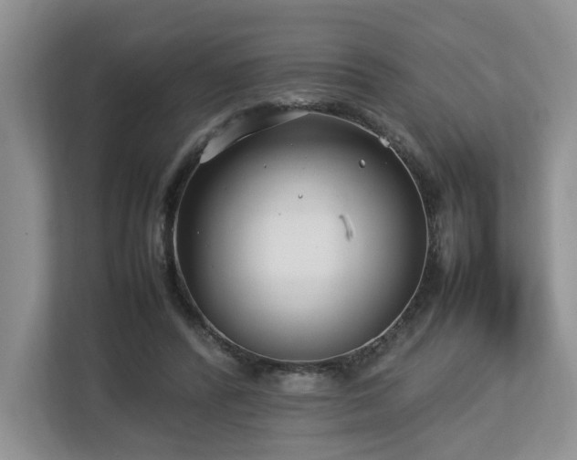 X0000112790400200908211117