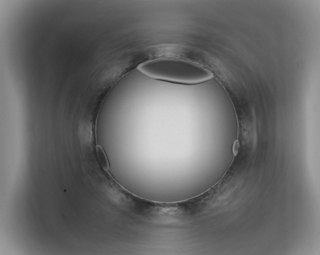 X0000112790401200908211117