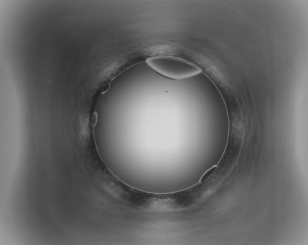 X0000112790403200908211117