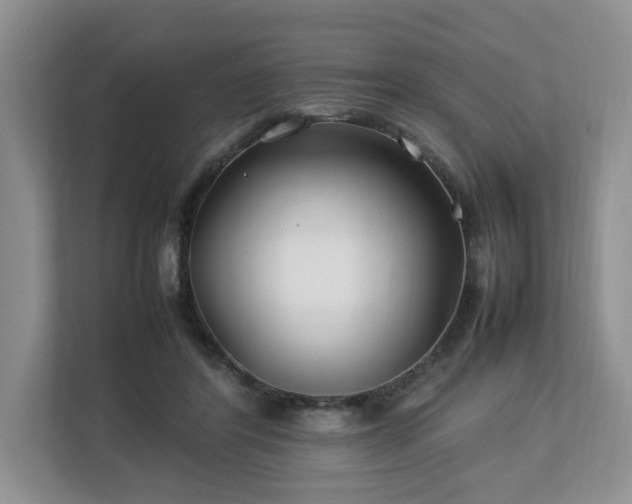 X0000112790404200908211117