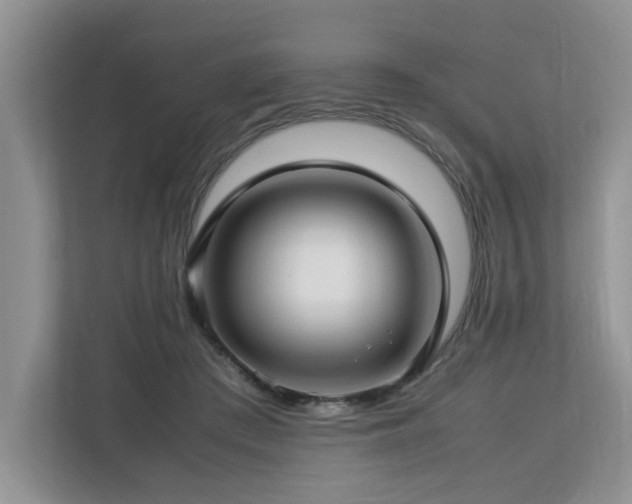 X0000112790409200908211117