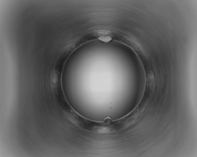 X0000112790412200908211117