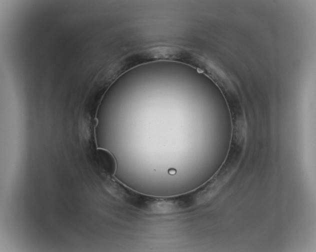 X0000112790413200908211117