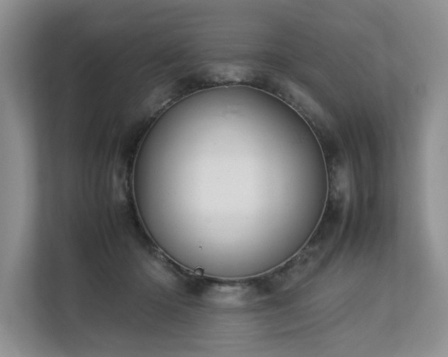 X0000112790414200908211117