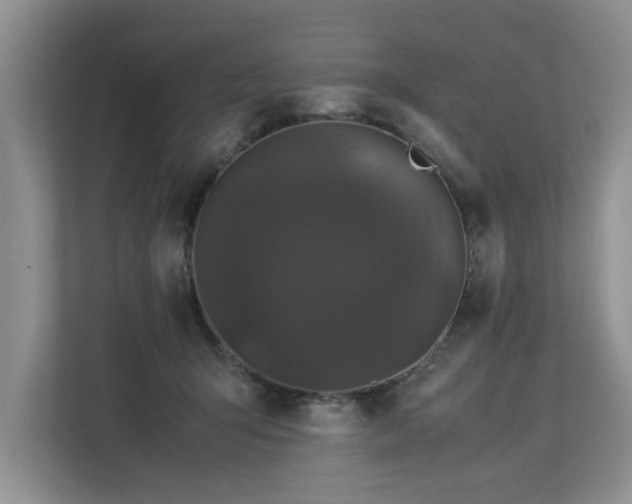 X0000112790415200908211117