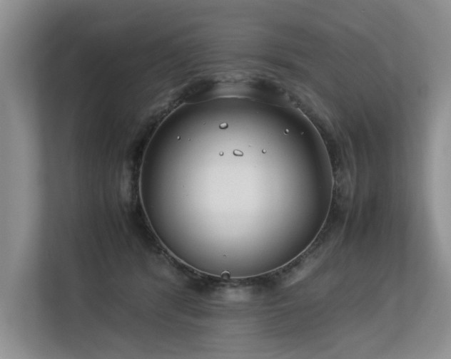 X0000112790416200908211117