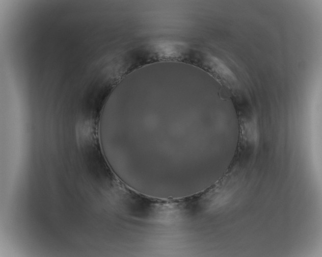 X0000112790419200908211117