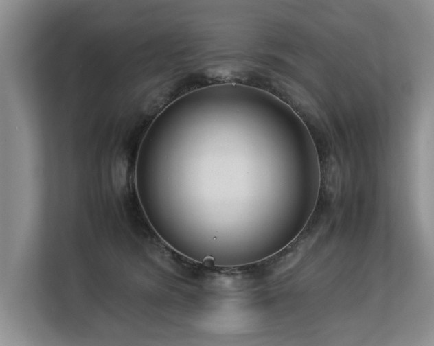 X0000112790420200908211117