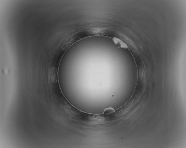 X0000112790421200908211117