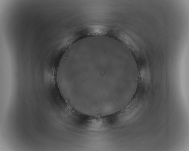 X0000112790423200908211117