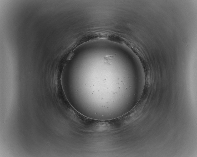 X0000112790424200908211117