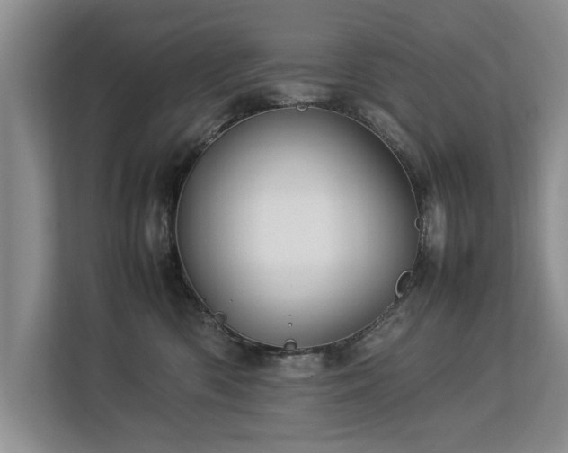 X0000112790426200908211117