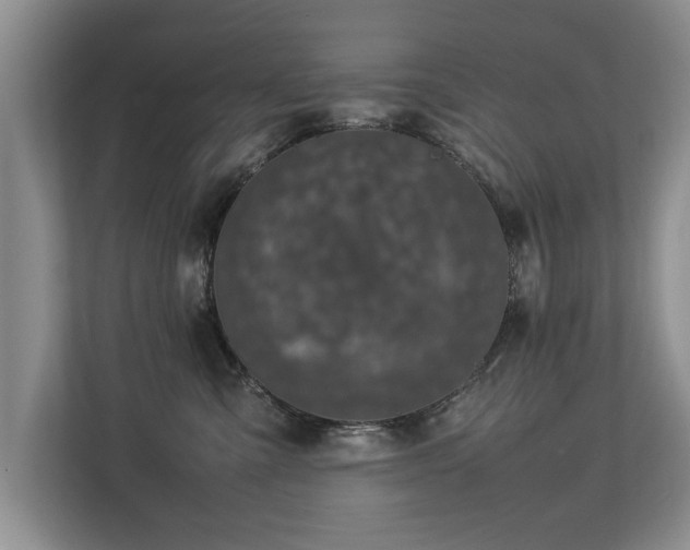 X0000112790427200908211117