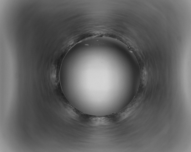 X0000112790428200908211117