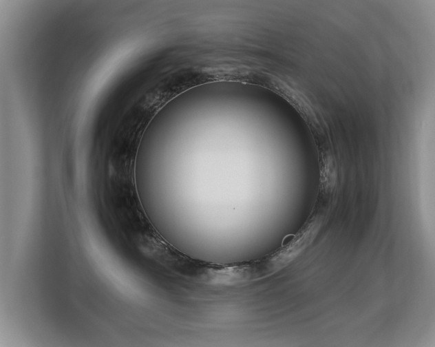 X0000112790430200908211117