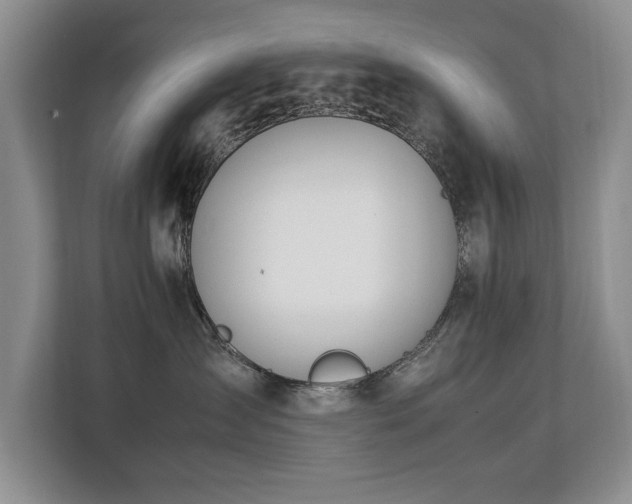 X0000112790431200908211117