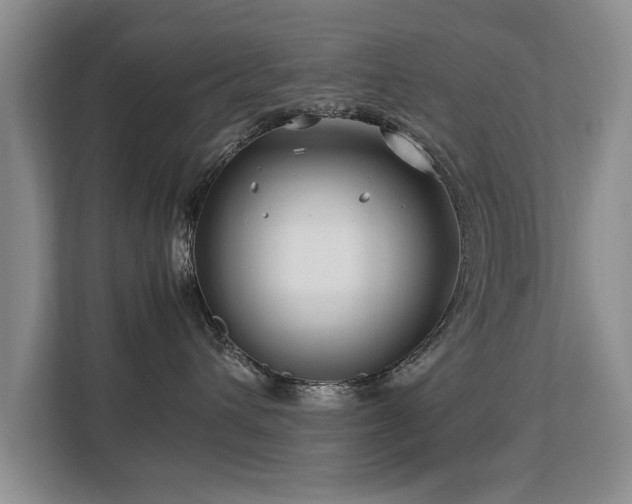 X0000112790432200908211117