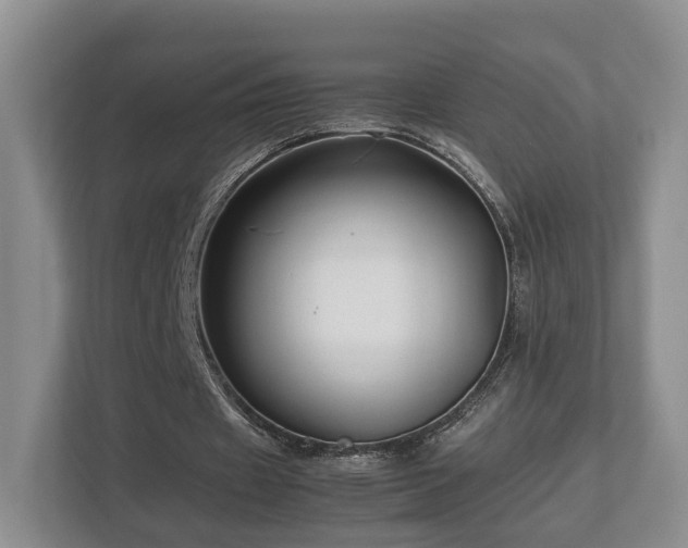 X0000112790433200908211116