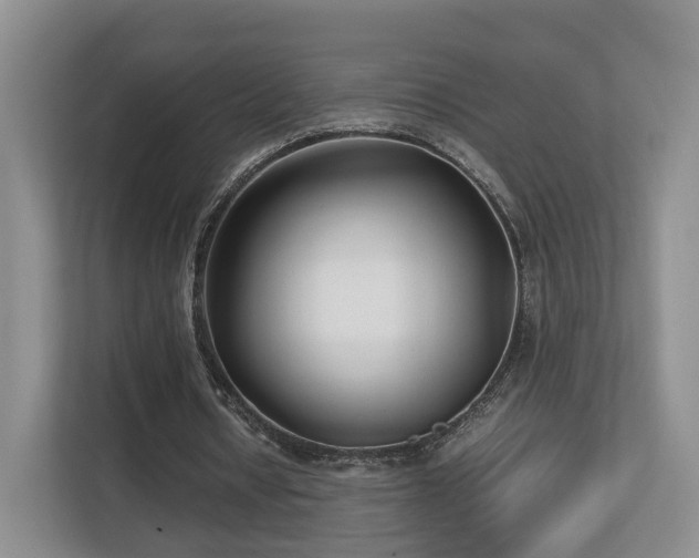 X0000112790434200908211116