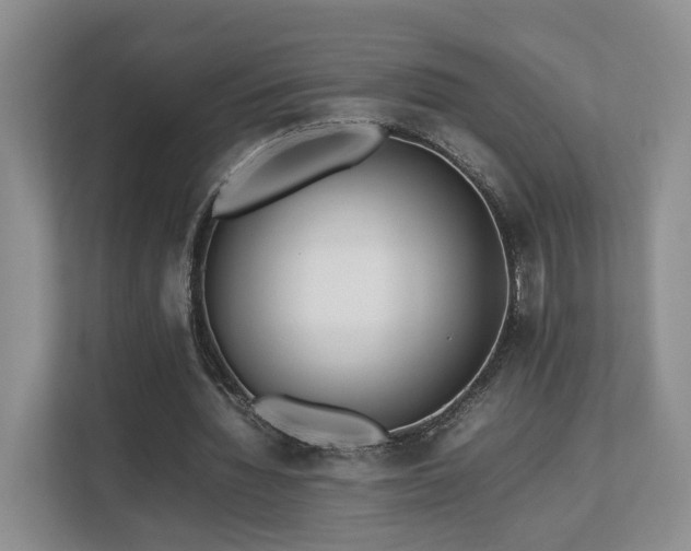 X0000112790436200908211116