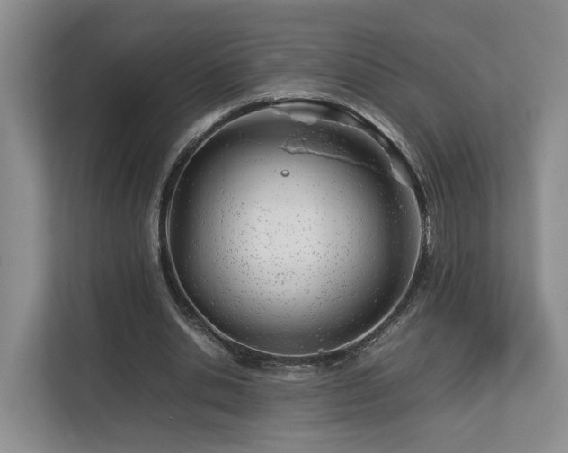 X0000112790438200908211116