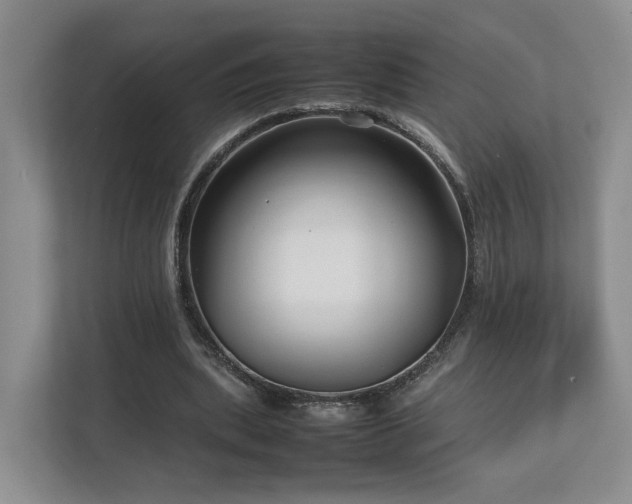 X0000112790439200908211116