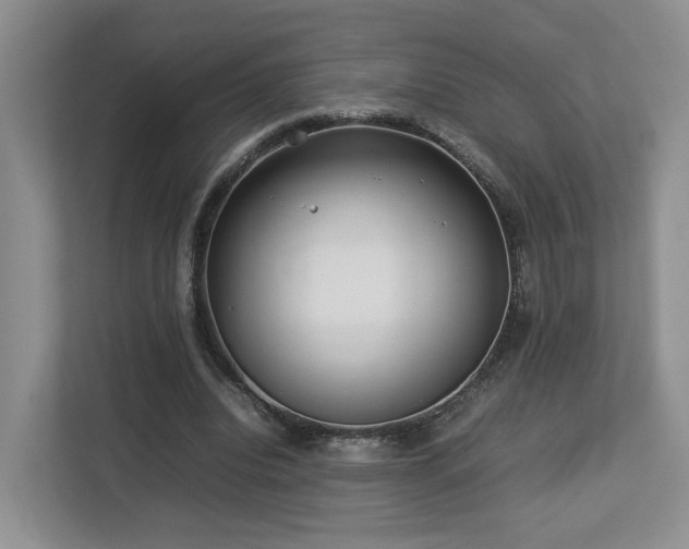 X0000112790440200908211116