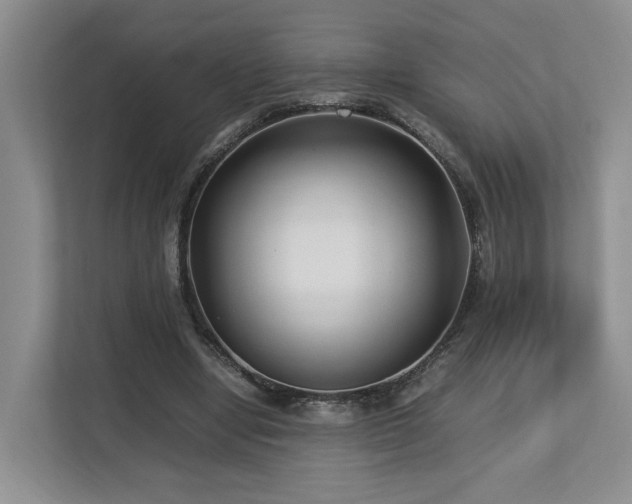 X0000112790442200908211116