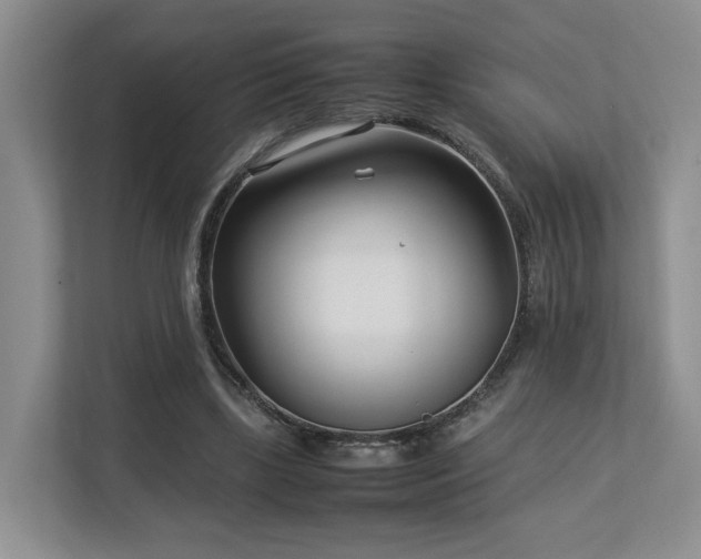 X0000112790443200908211116