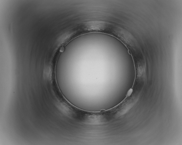 X0000112790444200908211116