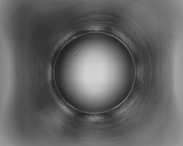 X0000112790445200908211117