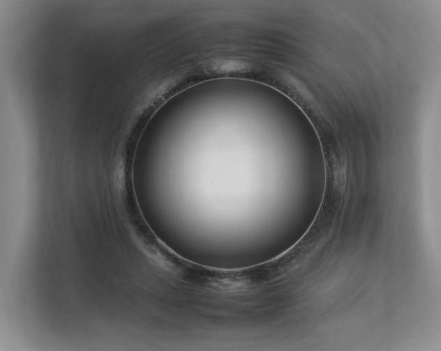 X0000112790447200908211117