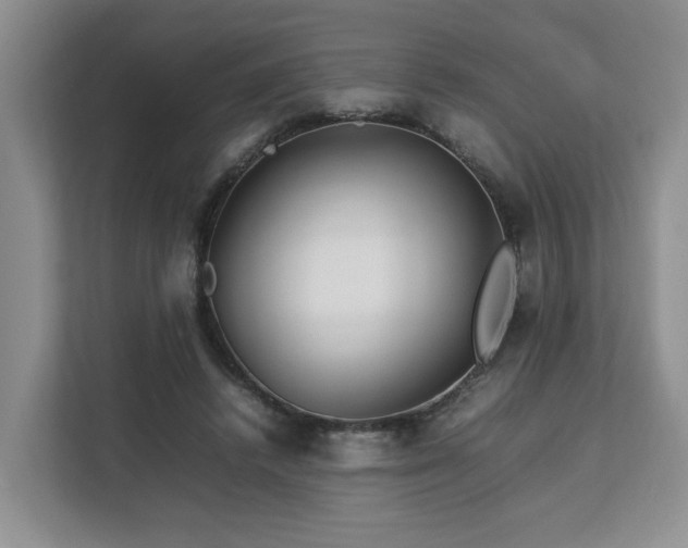 X0000112790448200908211117